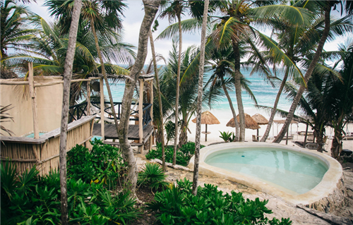 案例賞析:墨西哥樹屋酒店