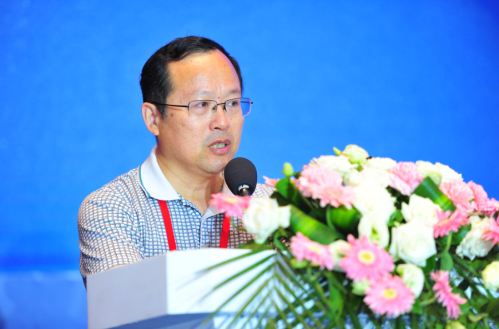 沈遲：特色鎮要有產業支撐但不能只有產業