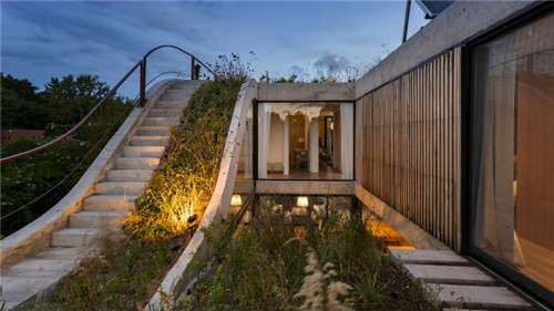 布宜諾斯艾利斯公寓里的立體花園