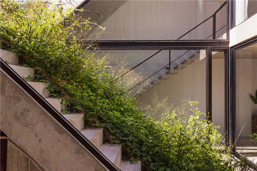 布宜諾斯艾利斯公寓里的立體花園