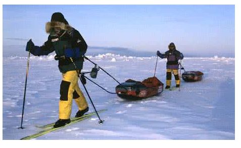 研究發現南極洲曾經被植物覆蓋