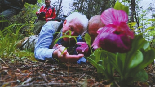 中國植物學家花20年追尋植物學威爾遜足跡