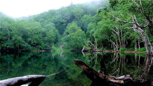 國家自然遺產地長白山的自然風光