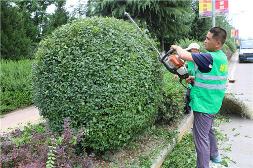 陜西銅川開展園林綠化“金剪刀”大比武