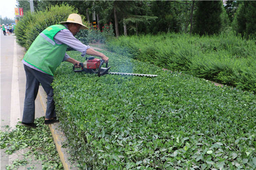 陜西銅川開展園林綠化“金剪刀”大比武