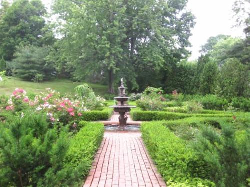 從停車場到玫瑰花園,自然讓生活更加美好