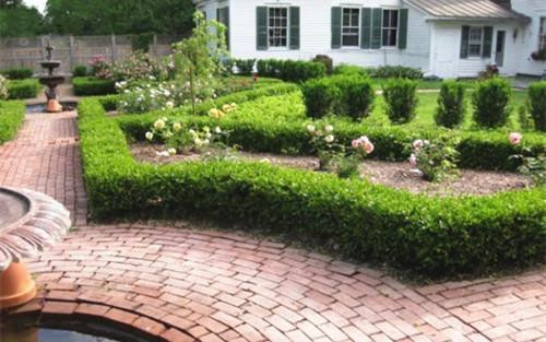 從停車場到玫瑰花園,自然讓生活更加美好