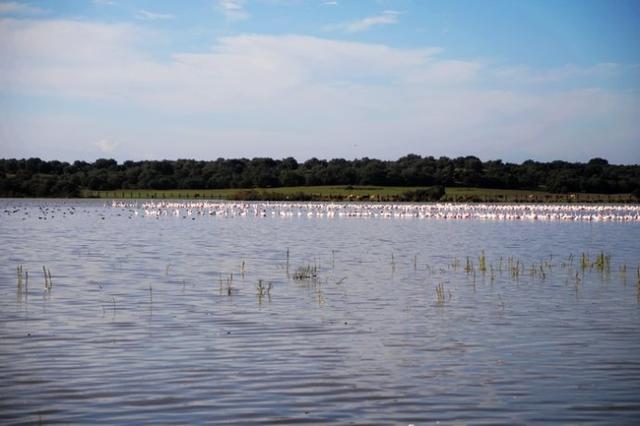 西班牙世外桃源——多南那國家公園