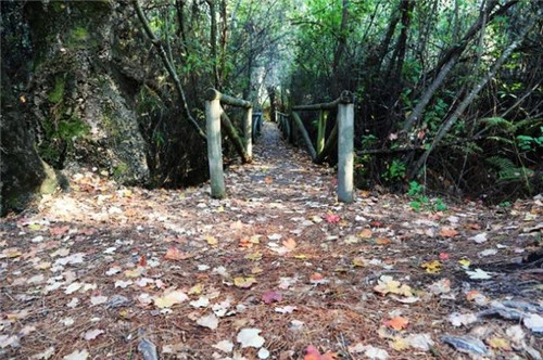 西班牙世外桃源——多南那國家公園