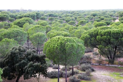 西班牙世外桃源——多南那國家公園