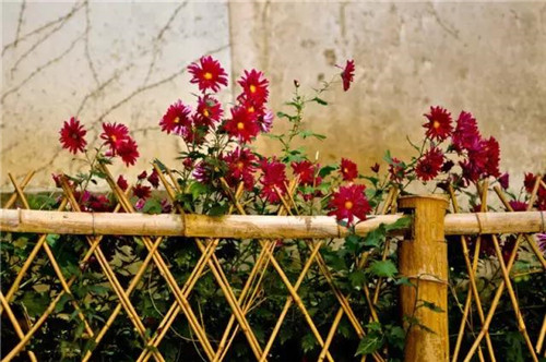 景區里的圍擋可以如此創意