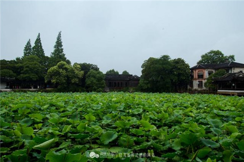 晚清南潯之首富劉鏞的私家花園
