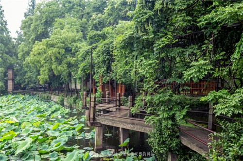 晚清南潯之首富劉鏞的私家花園
