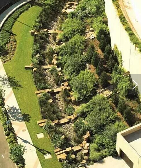 美國波特蘭雨水花園