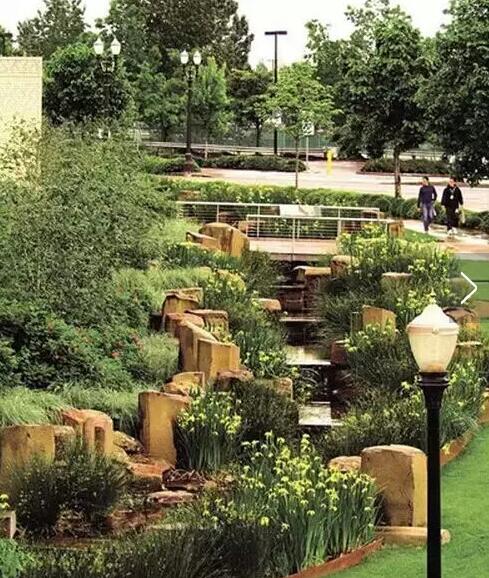 美國波特蘭雨水花園