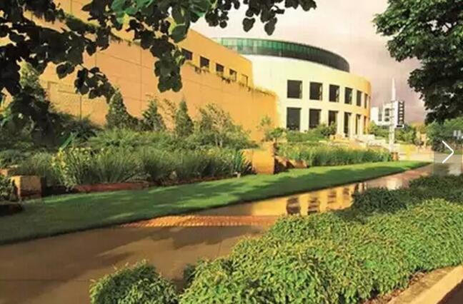 美國波特蘭雨水花園