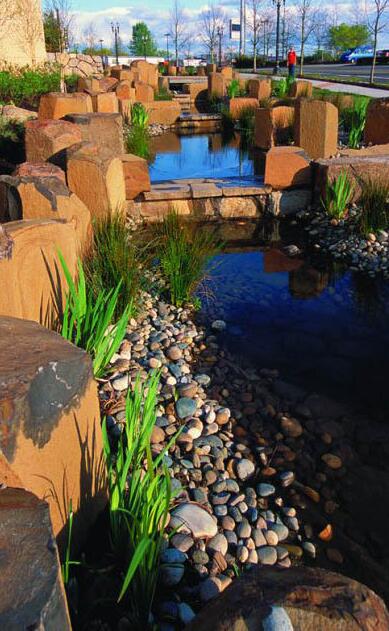 美國波特蘭雨水花園