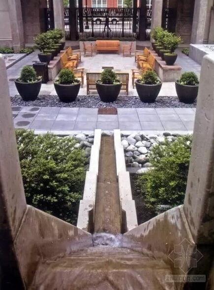 雨水花園經典案例:美國霍伊特公寓