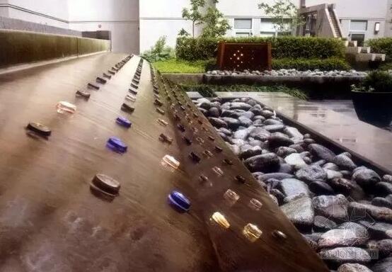 雨水花園經典案例:美國霍伊特公寓