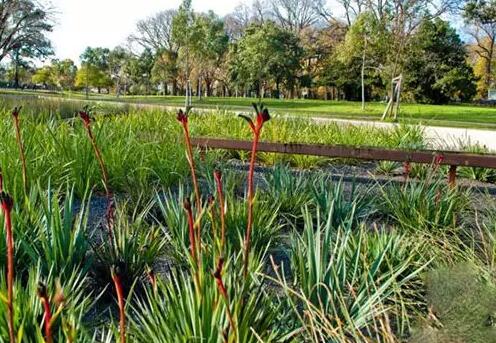 雨水花園經典案例：墨爾本雨水花園