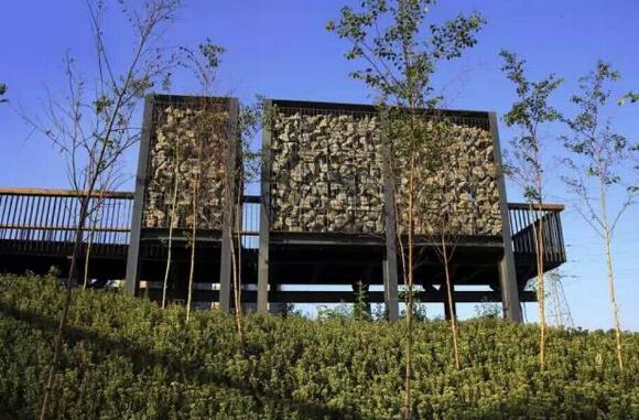 國內雨水花園實踐:黑龍江群力雨水花園