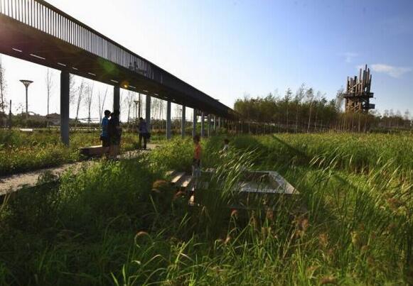 國內雨水花園實踐:黑龍江群力雨水花園