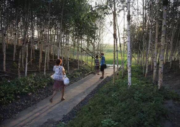 國內雨水花園實踐:黑龍江群力雨水花園