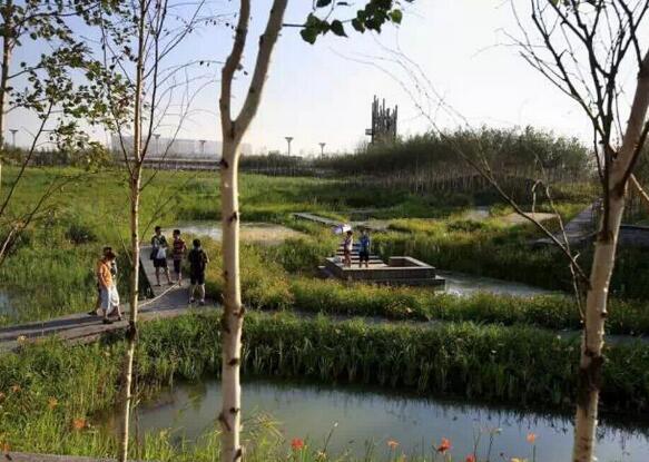 國內雨水花園實踐:黑龍江群力雨水花園