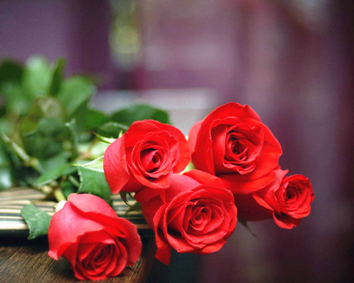 教你八種辦法讓切花保鮮更加持久