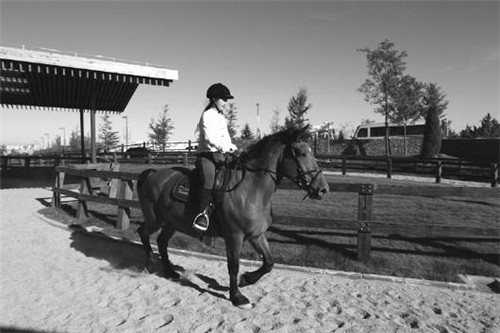 “永續(xù)設(shè)計(jì)”融入旅游小鎮(zhèn)建設(shè)