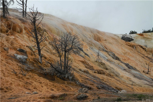 帶你領(lǐng)略美國(guó)黃石國(guó)家公園猛犸象噴泉