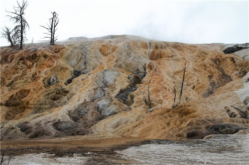帶你領(lǐng)略美國(guó)黃石國(guó)家公園猛犸象噴泉