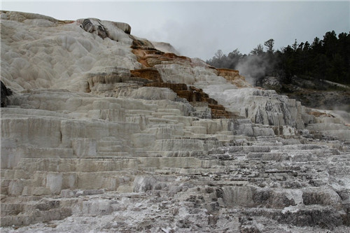 帶你領(lǐng)略美國(guó)黃石國(guó)家公園猛犸象噴泉