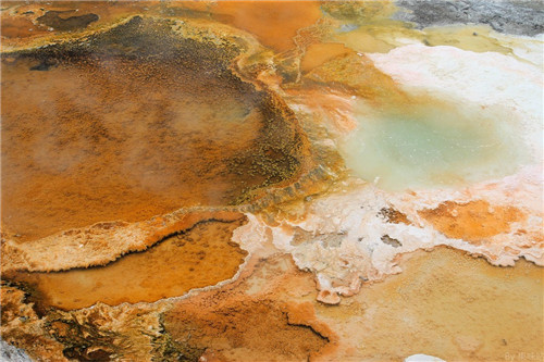 帶你領(lǐng)略美國(guó)黃石國(guó)家公園猛犸象噴泉