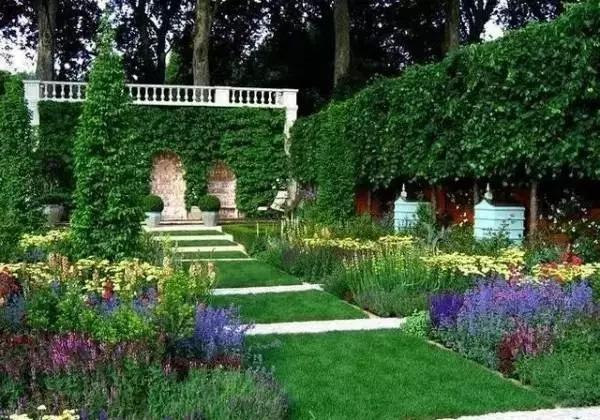 一起走進庭院綠籬的世界