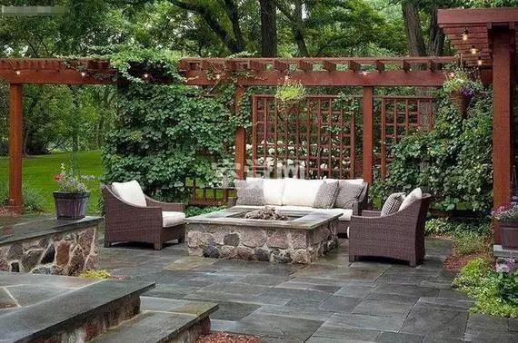 一起走進庭院綠籬的世界