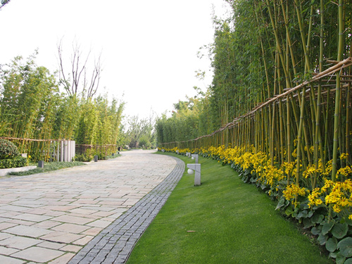 案例賞析：蘇州棠北別墅