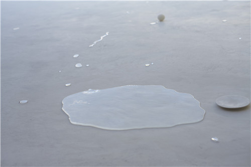 大師訪談錄:西澤立衛