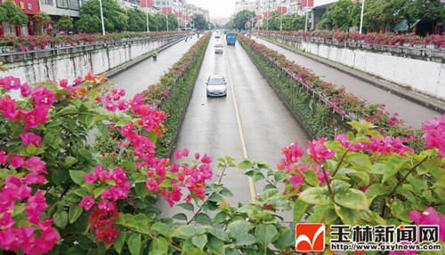 廣西玉林市:全民打造一座園林之城(多圖)