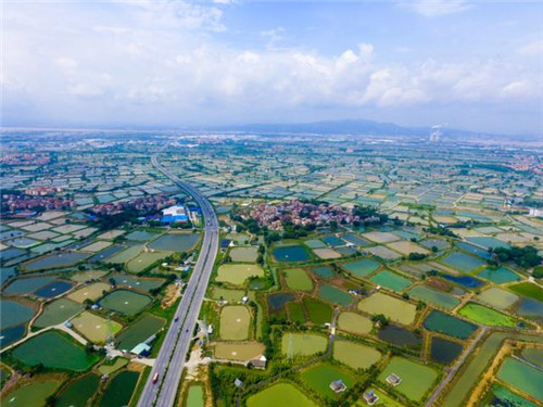 航拍佛山濕地公園 邂逅自然之美