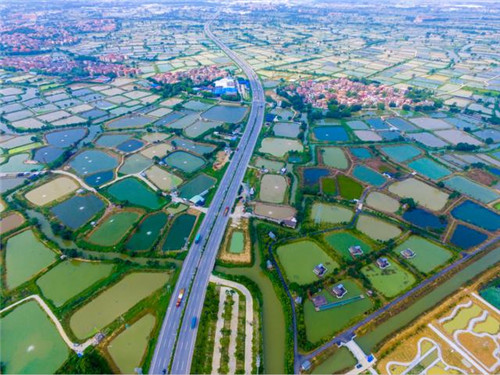 航拍佛山濕地公園 邂逅自然之美