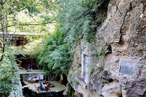 甘肅平涼崇信縣四棵神奇古樹