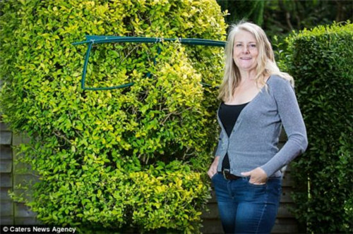 剪刀下的“藝術”被修剪成人頭像的綠籬