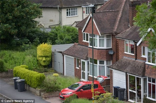 剪刀下的“藝術”被修剪成人頭像的綠籬