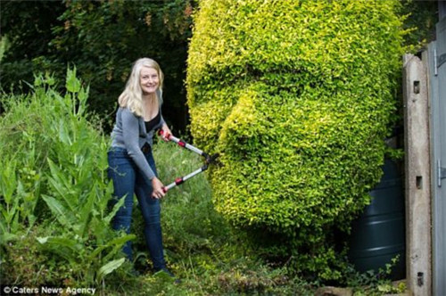 剪刀下的“藝術”被修剪成人頭像的綠籬