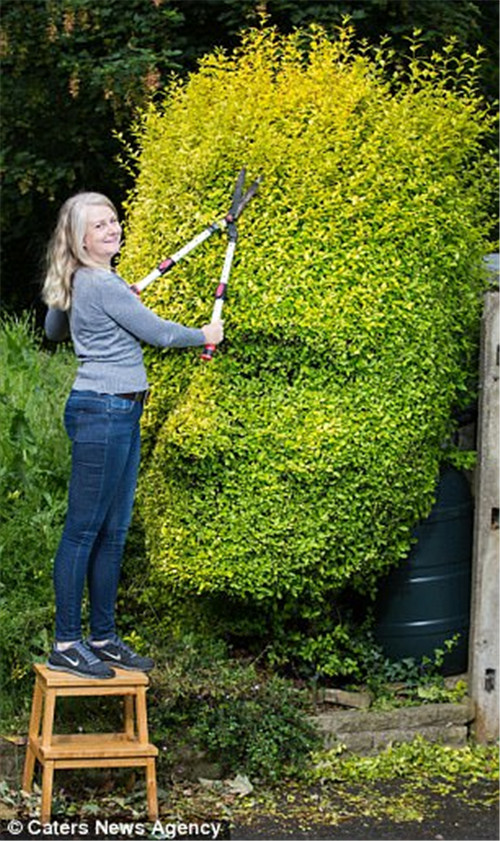 剪刀下的“藝術”被修剪成人頭像的綠籬