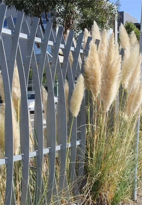 千變萬化的別墅小院圍墻設計