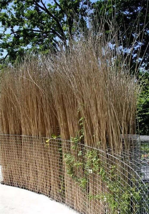 千變萬化的別墅小院圍墻設計