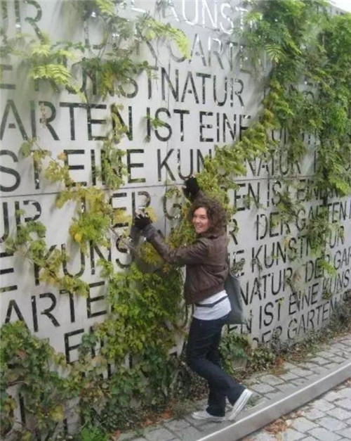 千變萬化的別墅小院圍墻設計