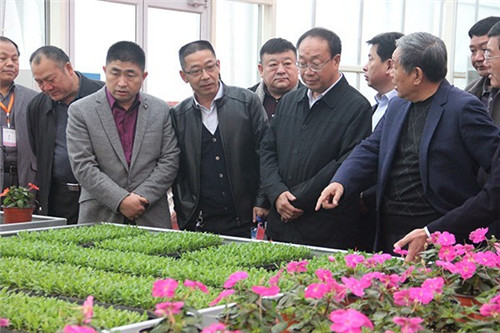 2017鄭州國際花卉展10月舉辦